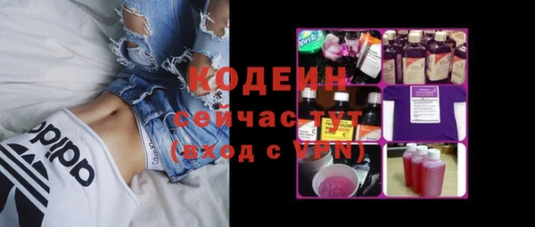 индика Абинск