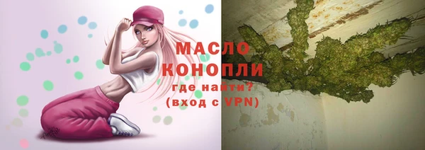 индика Абинск