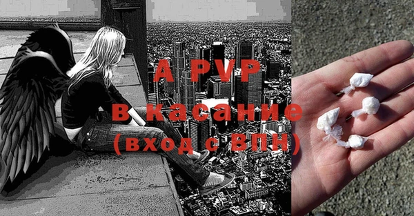 индика Абинск
