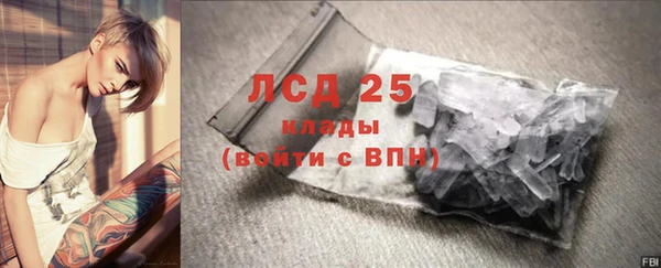 индика Абинск