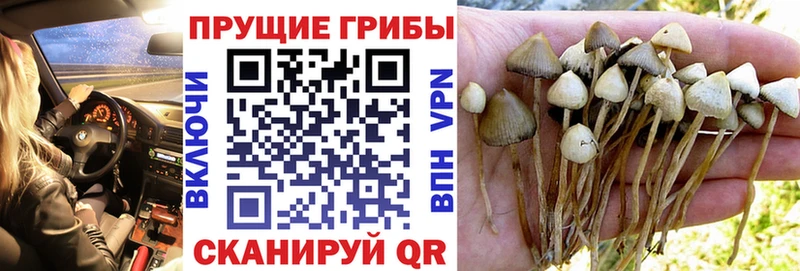 Псилоцибиновые грибы GOLDEN TEACHER  дарнет шоп  Усолье 